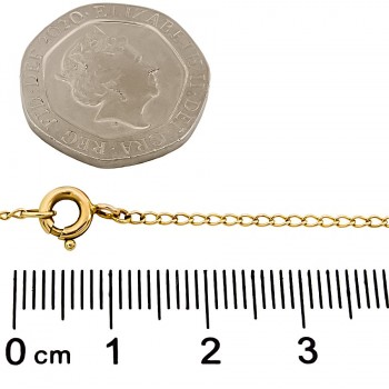 9ct gold 8.3g 22 inch Locket with chain